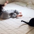 女の子が仲良しな猫の前で『倒れるフリ』をした結果…直後の『尊すぎる光景…