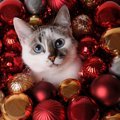 猫好き女子に贈ろう！猫モチーフの可愛いクリスマスプレゼント！