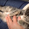 ラブラブモード全開♡甘え上手な子猫ちゃん♪