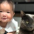 仲良く並んでいた『赤ちゃんと猫』を撮影すると…あまりにも尊い『奇跡的な…
