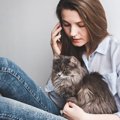 猫との生活で使える『サブスク』5選　暮らしをより充実させてくれるか…