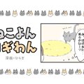 ねこよんコギわん【第49話】「助言を活かせるねこ」