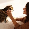 猫の『飼い主を守る仕草』4つ♡どんなタイミングでしているの？