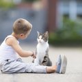 愛猫と会話出来るかも！？猫が理解できる人の言葉７選