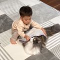 幼い息子が『大きな猫』に見せた優しい行動…素敵なやり取りの様子が尊…