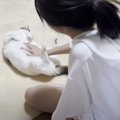 猫が娘に『撫でてもらった』結果…まさかの『恩返し』が可愛すぎると15…