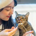 愛猫と飼い主の絆を強くする3つの秘訣♡