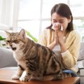 猫がする『逆くしゃみ』ってなに？　放っておいて大丈夫？注意が必要なケ…