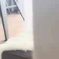 子猫が『やけに静かだなぁ』と思ったら…『ソファの上』を見ると→まさかの…