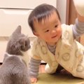 お互い0歳だった猫と赤ちゃん…成長した『2人の姿』が微笑ましすぎると…