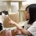 猫が『酔っ払いのママ』に捕まった結果…表情が面白すぎると12万2000再…