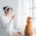 猫と一緒に『遊ぶときのルール』4つ　時間や回数の目安から上手な遊び…