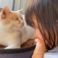 生まれたときから『猫と育ってきた赤ちゃん』成長したら…１年半後の光…