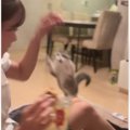 女の子が足を掻いていたら、奥から猫が…笑いを誘う『とんでもない瞬間』が…