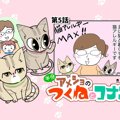 半分アメショのつくねとコナン【第5話】「だって猫が好き」