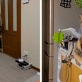 猫「遊んで～」犬「お散歩行こう♡」モテすぎて困る下僕の憂鬱