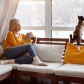 猫が『舌打ち』を聞くと反応する理由5つ　場合によっては発作を起こしてし…