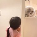 娘が『だるまさんがころんだ』と言って顔を出すと、猫が…尊すぎるやり…
