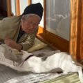 新聞を読むおばあちゃん→猫が『スライディング』で登場して…笑ってし…
