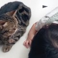 床で寝ていた猫と赤ちゃん→見守っていたら…思わずキュンとする『尊いやり…
