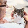 猫に『懐かれる人と懐かれない人』の違いを徹底調査！3つの違いと気を…