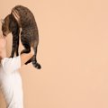 猫と『キス』すると感染するかもしれない病気4選　甘くみてはいけない…