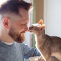 猫が『ありがとう』と伝えているときのサイン4つ　意外な行動に感謝の気持…