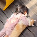 『猫が同じくらいの大きさの子供』に抱き着かれたら…ほのぼのと"優し…