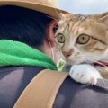 猫が『パパを好きすぎた』結果…畑作業中もくっついて離れない様子が可…