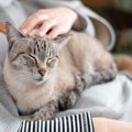 猫への愛情が『伝わった』と噛みしめる瞬間3選　心を開いてくれたサインや…