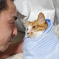 バンド仲間からの質問→『猫の可愛さってピークを過ぎたら低下する？』→飼…