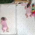 お昼寝中の『赤ちゃんたちの様子』を見に行くと、猫が…予想外の光景と…