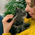 猫との『キス』は危険？感染の可能性がある病気5つ