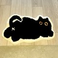 『飼っている黒猫にそっくりな玄関マット』をしいた結果…『完全に同化して…