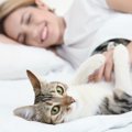 猫は飼い主に『愛情を試す行為』をしている？4つの行動と気持ちを徹底解説！