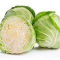 【獣医師監修】猫はキャベツを食べても大丈夫！生でもOK？注意点や調理法…