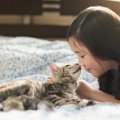 諦めない姿が可愛い♡猫が夢中になる事７選