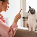 実は愛猫を不安にさせている『飼い主さんのダメ行動』5選　ストレスを…