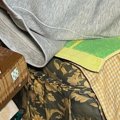 『猫嫌い』と言っていた夫の現在…体の上を見ると、『まさかの光景』に…