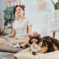 猫と『相性が合う人』に当てはまる特徴5つ　どんな人が好かれるの？理想的…
