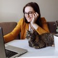 猫にまつわる『ネットスラング』4選　SNSでよく見る言葉、猫通には常…