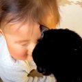 ハイハイの練習がうまくいかない赤ちゃん→同居猫がやってきて…まさかの『…
