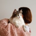 猫が『飼い主と他人』を判別しているポイント3つ　外見が違っても認識…