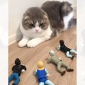 段々と接近してくる『ゾンビのおもちゃ』に、猫が…思わず笑うシュール…