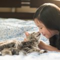 猫が舐めると人に感染するかもしれない病気一覧