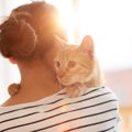 猫の精神的な病『分離不安症』の原因4つ　飼い主ができる予防法とは？