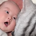 赤ちゃんを隣で見守るネコ→『赤ちゃん視点』から見てみた結果…衝撃的…