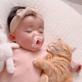 猫と赤ちゃんが仲良しになった結果…少しでも触れていたいと『寄り添っ…