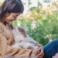 猫が執拗に『抱っこや膝の上をせがむ』ときの対策5選　愛猫の要求に上手に…