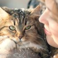 猫は飼い主をどう思ってる？知ると驚く『5つの真実』